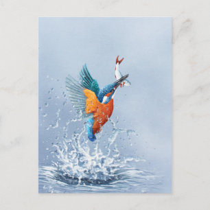 Carte Postale Kingfisher qui sort de l'eau