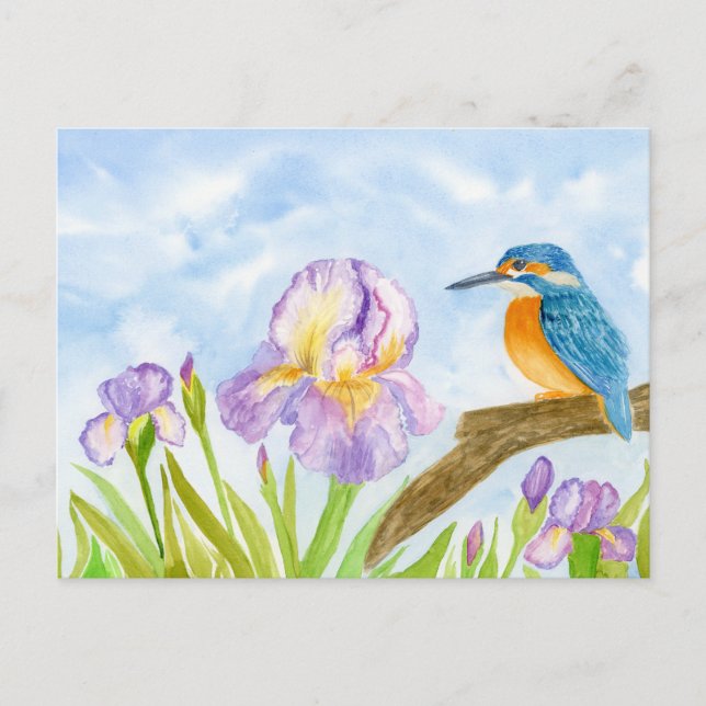 Carte Postale  Kingfisher with Purple Irises (Devant)