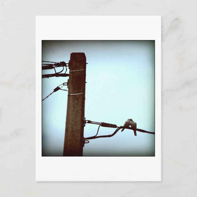 Carte postale KISS (Devant)