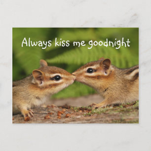 Carte postale Kissing Baby Chipmunks