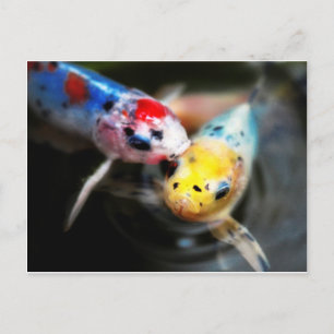 Carte Postale Kissing fish