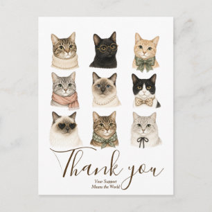 Carte Postale Kit Cadeau pour Amateur de Chats Mignons Chat Chat