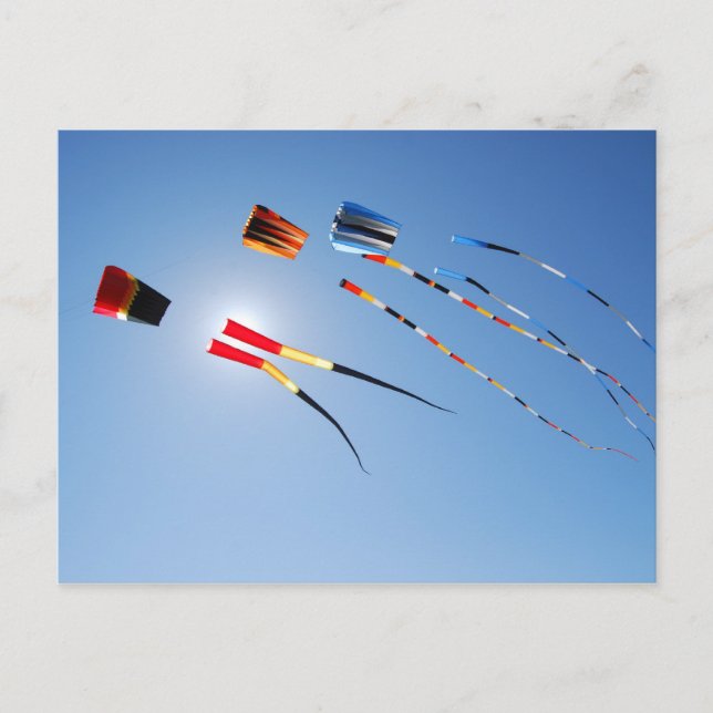 Carte Postale Kites de longue traînée multicolore (Devant)