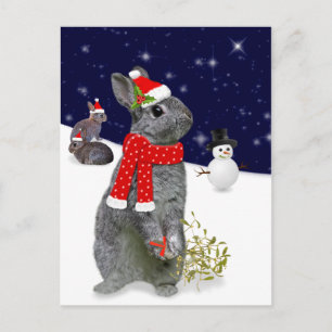 Carte postale Kits de Noël