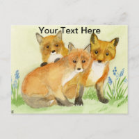 Kits Fox