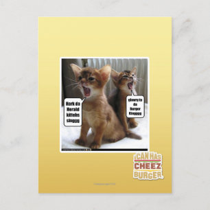 Carte Postale Kitteh carols