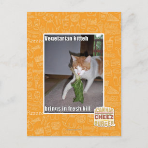 Carte Postale Kitteh végétarien