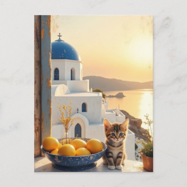 Carte Postale Kitten avec vue sur coucher de soleil (Devant)