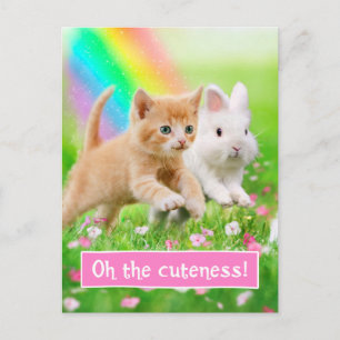 Carte Postale Kitten & Bunny avec arc-en-ciel