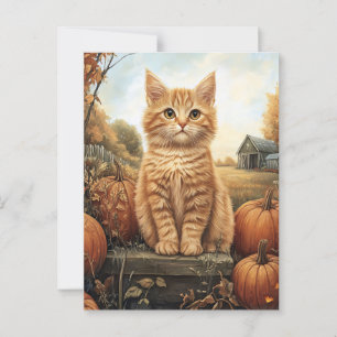 Carte Postale Kitten d'automne avec Citrouille