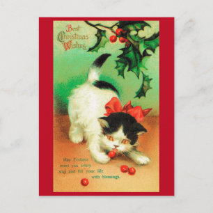 Carte Postale Kitten et Christmas Holly
