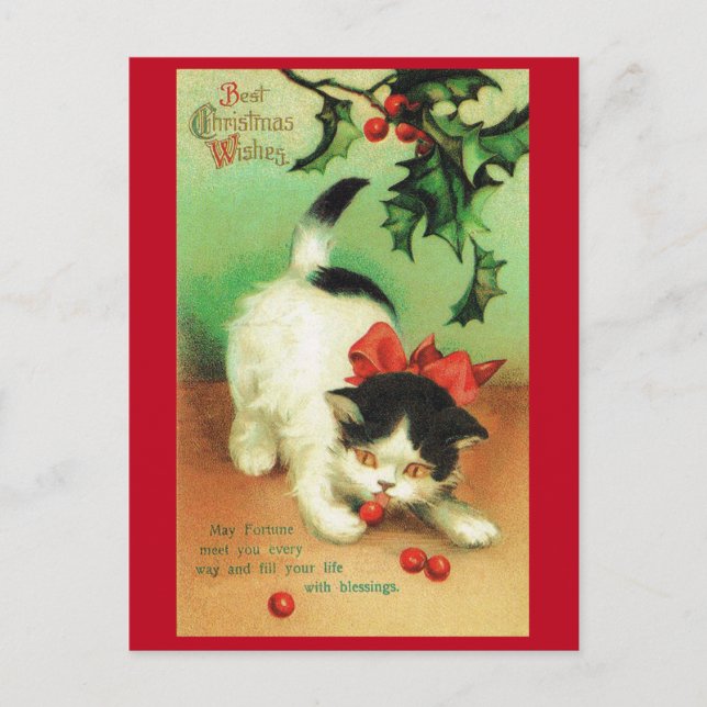 Carte Postale Kitten et Christmas Holly (Devant)