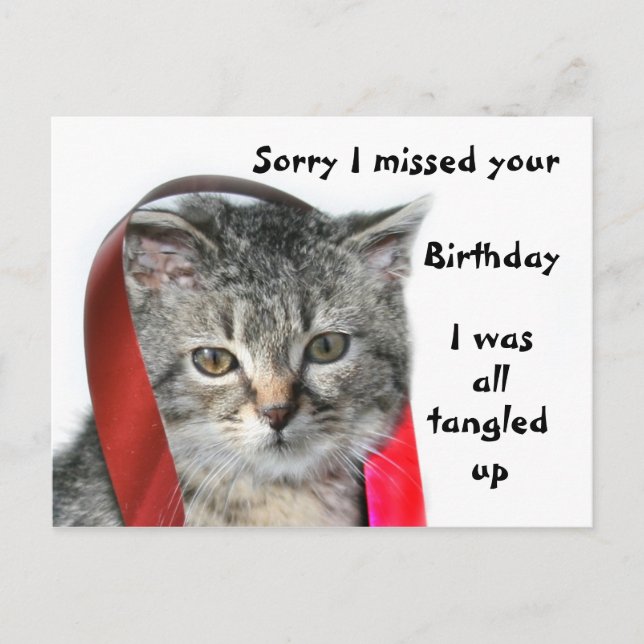 Carte Postale Kitten fin anniversaire (Devant)