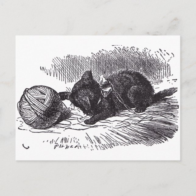 Carte Postale Kitten noir (Devant)