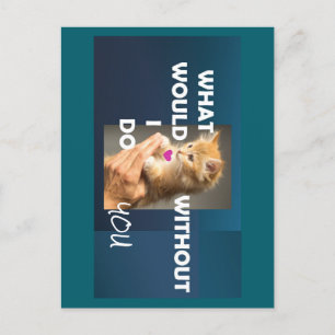 Carte Postale Kitten tenu par un texte à la main ce que je ferai