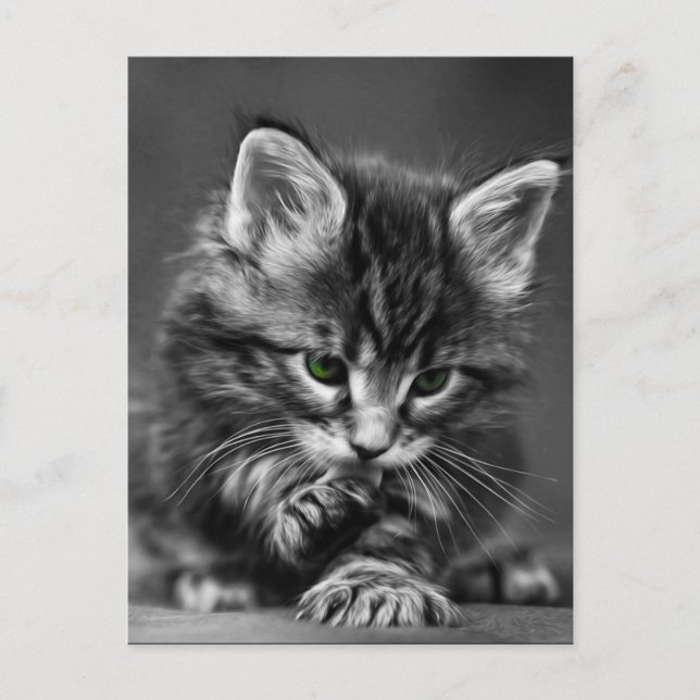 Carte Postale Kitten vert (Devant)