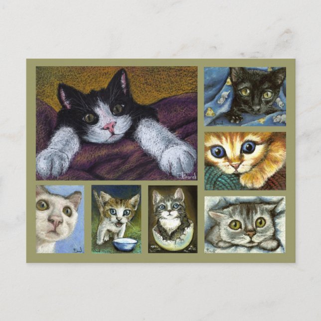 Carte postale Kittens (Devant)