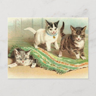 Carte Postale Kittens Cacher et rechercher