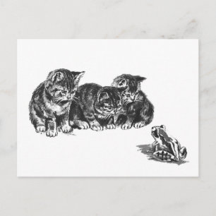 Carte Postale Kittens et un crapaud par Ernest Nister - chat vin