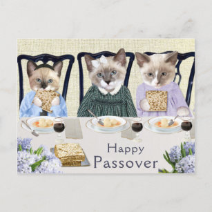 Carte postale Kittens Passover