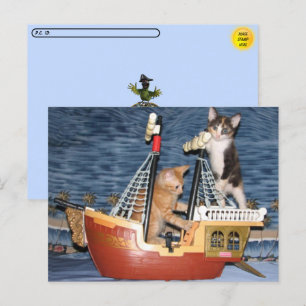 Carte postale Kittens pirate