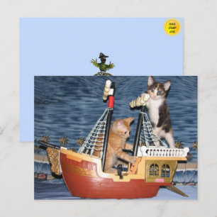 Carte postale Kittens pirate