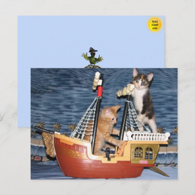Carte postale Kittens pirate (Devant / Derrière)
