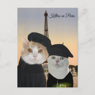 Carte Postale Kitties à Paris