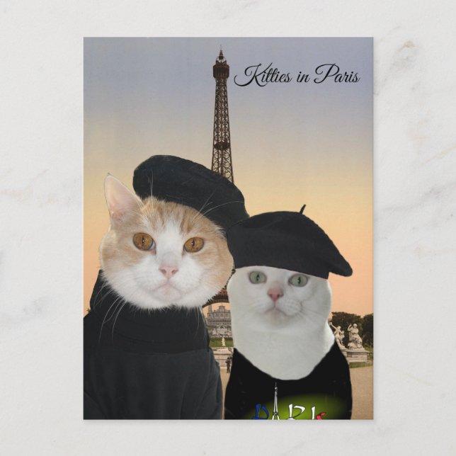 Carte Postale Kitties à Paris (Devant)
