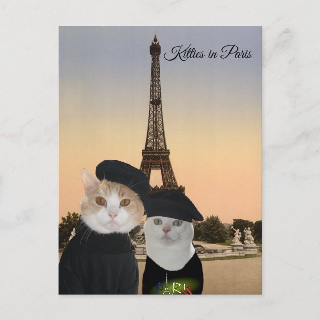 Carte Postale Kitties à Paris (Devant)