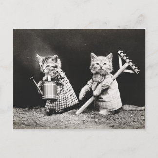 Carte Postale Kitties jardinage | Kitty avec Rake