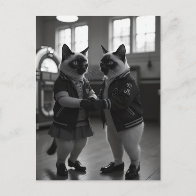 Carte Postale Kitties Sock Hop (Devant)