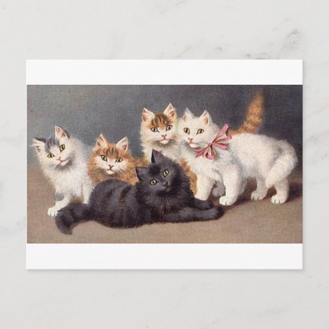 Carte Postale Kitty (Devant)