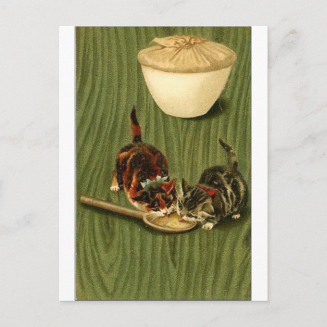 Carte Postale Kitty (Devant)