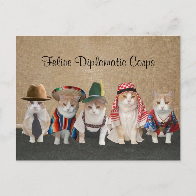 Carte Postale Kitty Ambassadeurs (Devant)