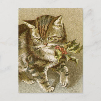 Carte postale:  Kitty avec Holly Sprig
