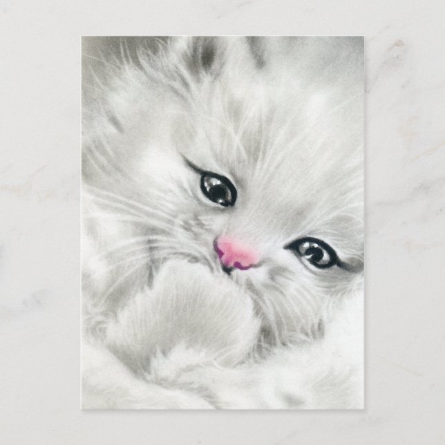 carte postale kitty blanc et rose (Devant)