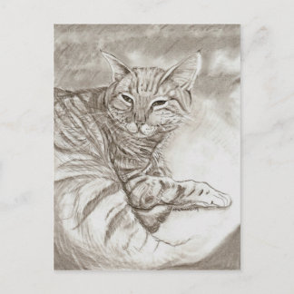 Carte Postale Kitty Cat