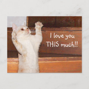Carte Postale Kitty chat amour