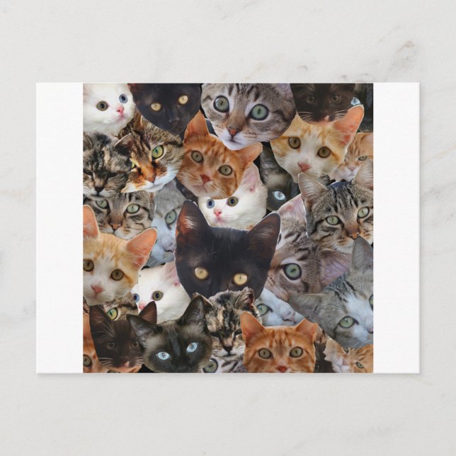 Carte Postale Kitty Collage (Devant)
