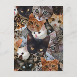 Carte Postale Kitty Collage