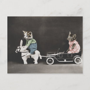 Carte Postale Kitty en panne