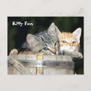 Carte Postale Kitty Fun