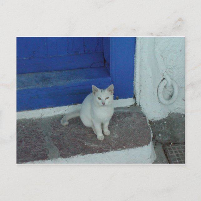 Carte Postale Kitty grec (Devant)