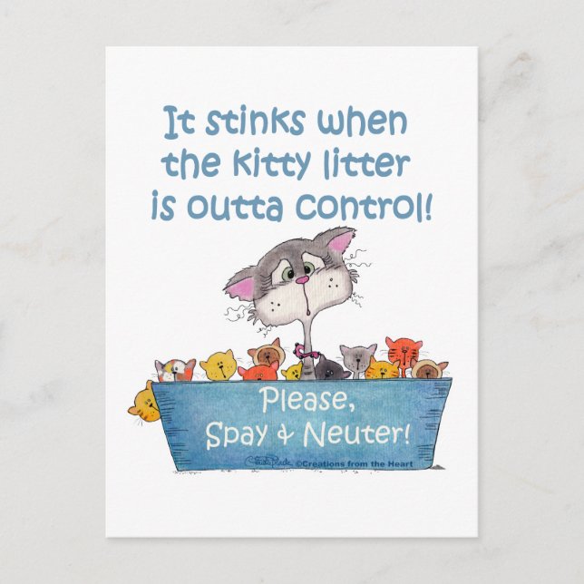 Carte Postale Kitty Litter pue (Devant)