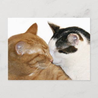 Carte Postale Kitty Love