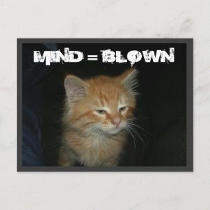 Carte postale Kitty "MIND = BLOWN"