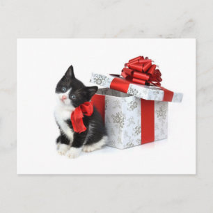 Carte Postale Kitty noir et blanc avec boîte cadeau
