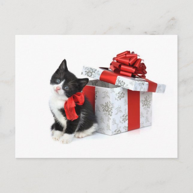 Carte Postale Kitty noir et blanc avec boîte cadeau (Devant)