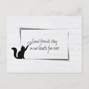 Carte Postale Kitty Pet Loss Sympathie de vétérinaire